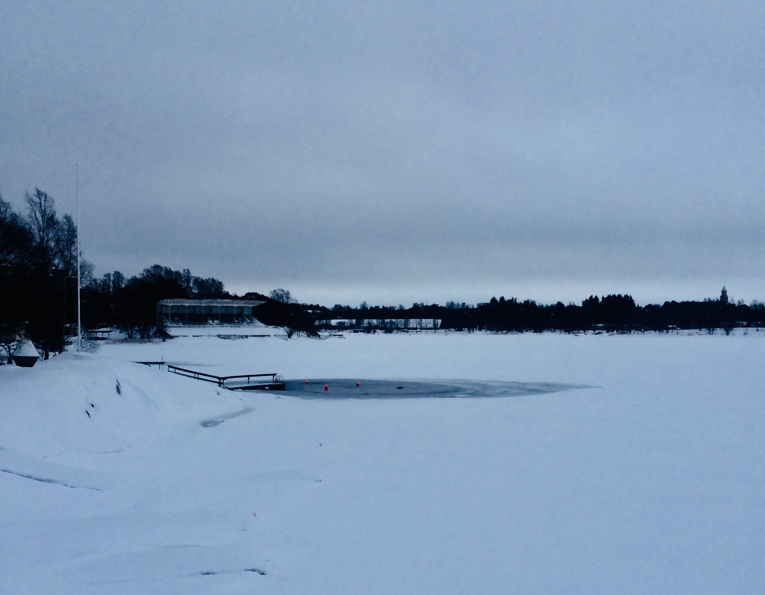 A First Dance. A Manifest.