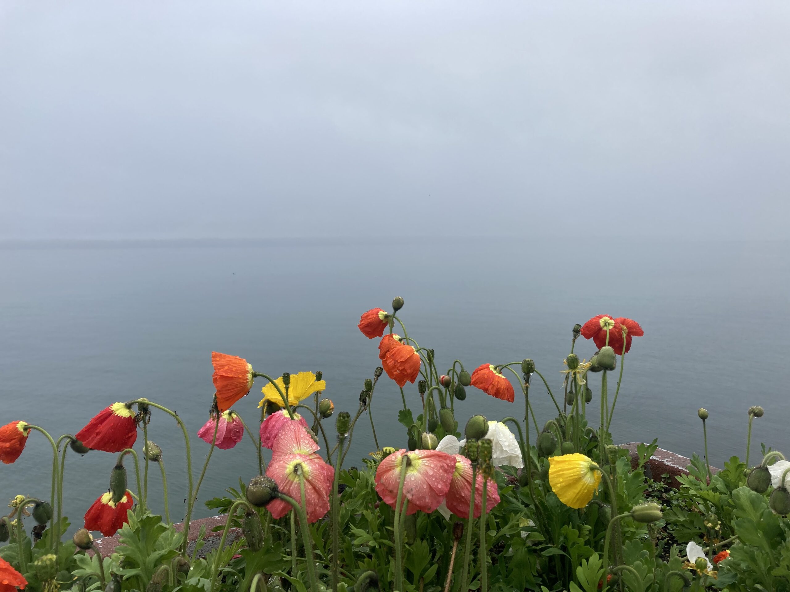 Traces from November. Moving in November. June 14 – 20, a very warm welcome!