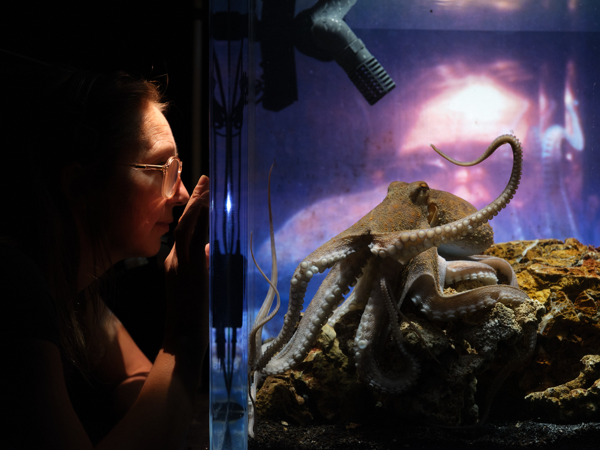 Temple du présent – Solo for octopus