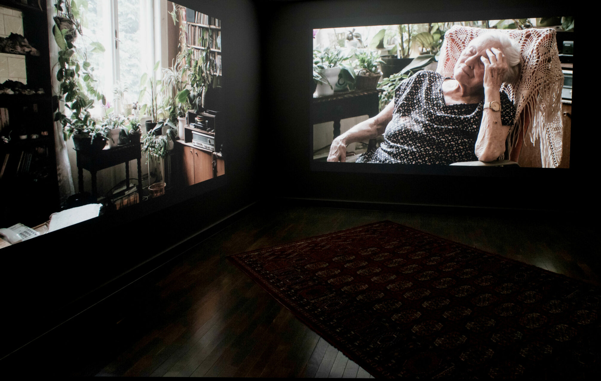 Conversation between Boglárka Börcsök and Kerstin Schroth