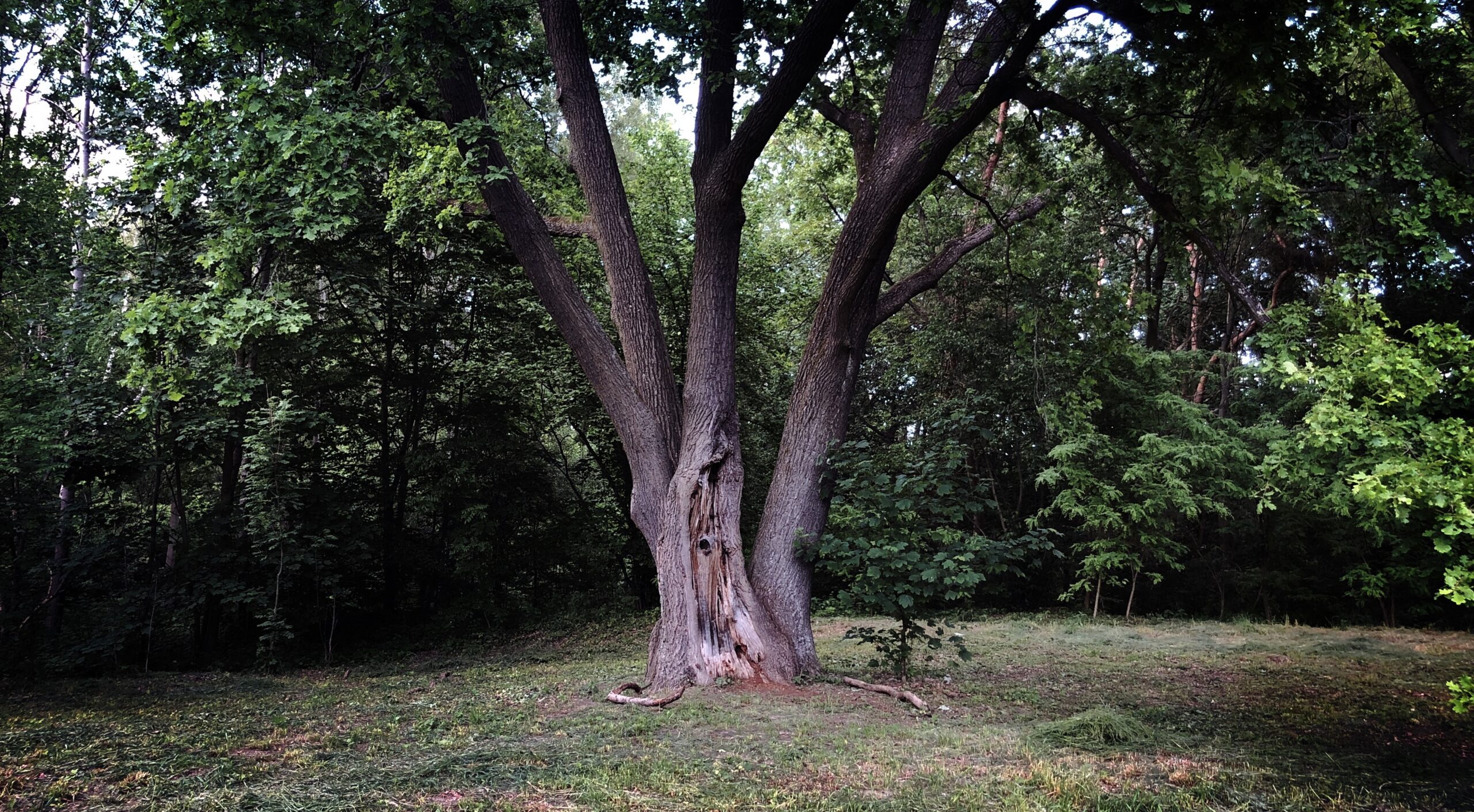 Traces from November May 16th – 27th. Moving in November’s spring edition.