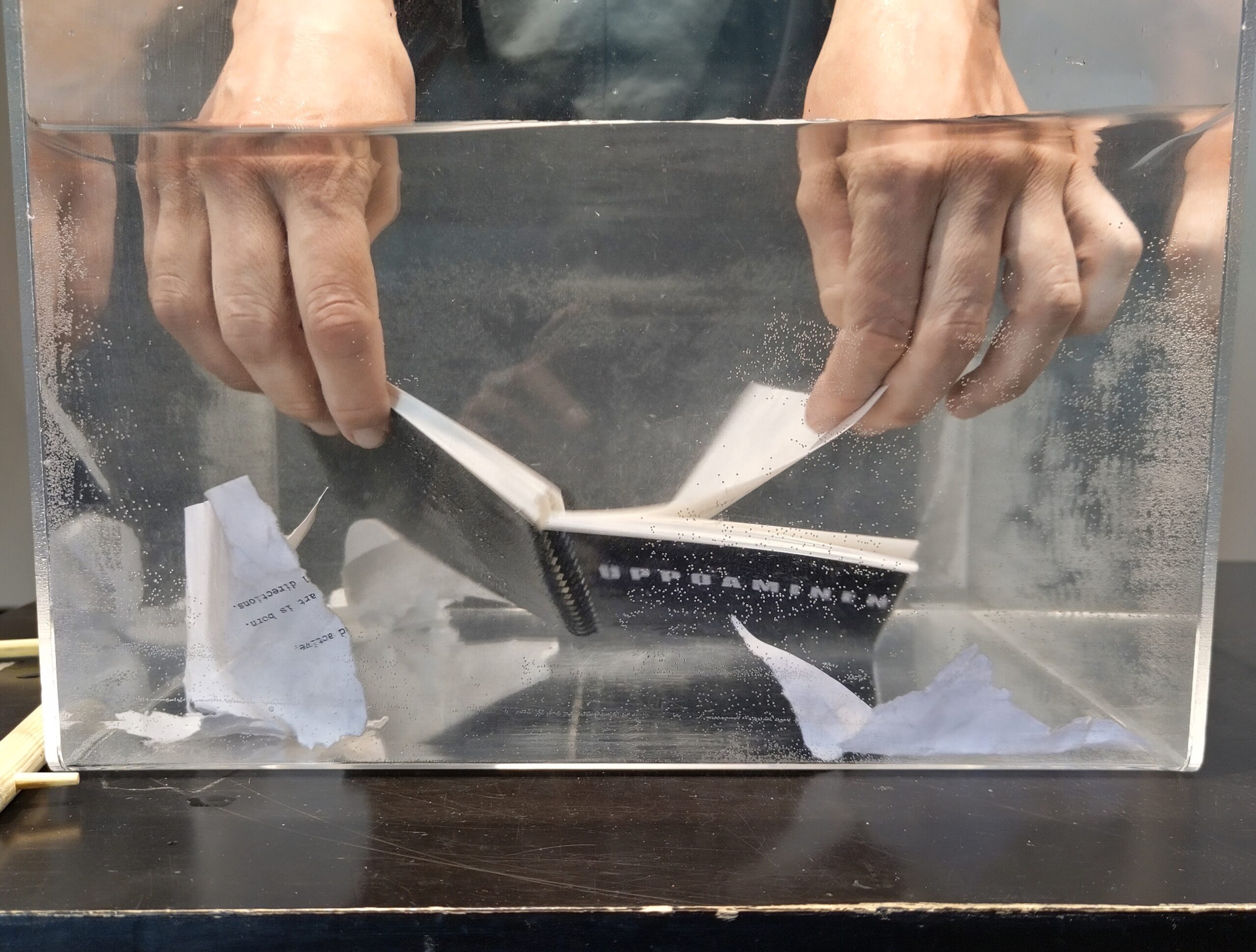 Audience Body (PREMIERE)