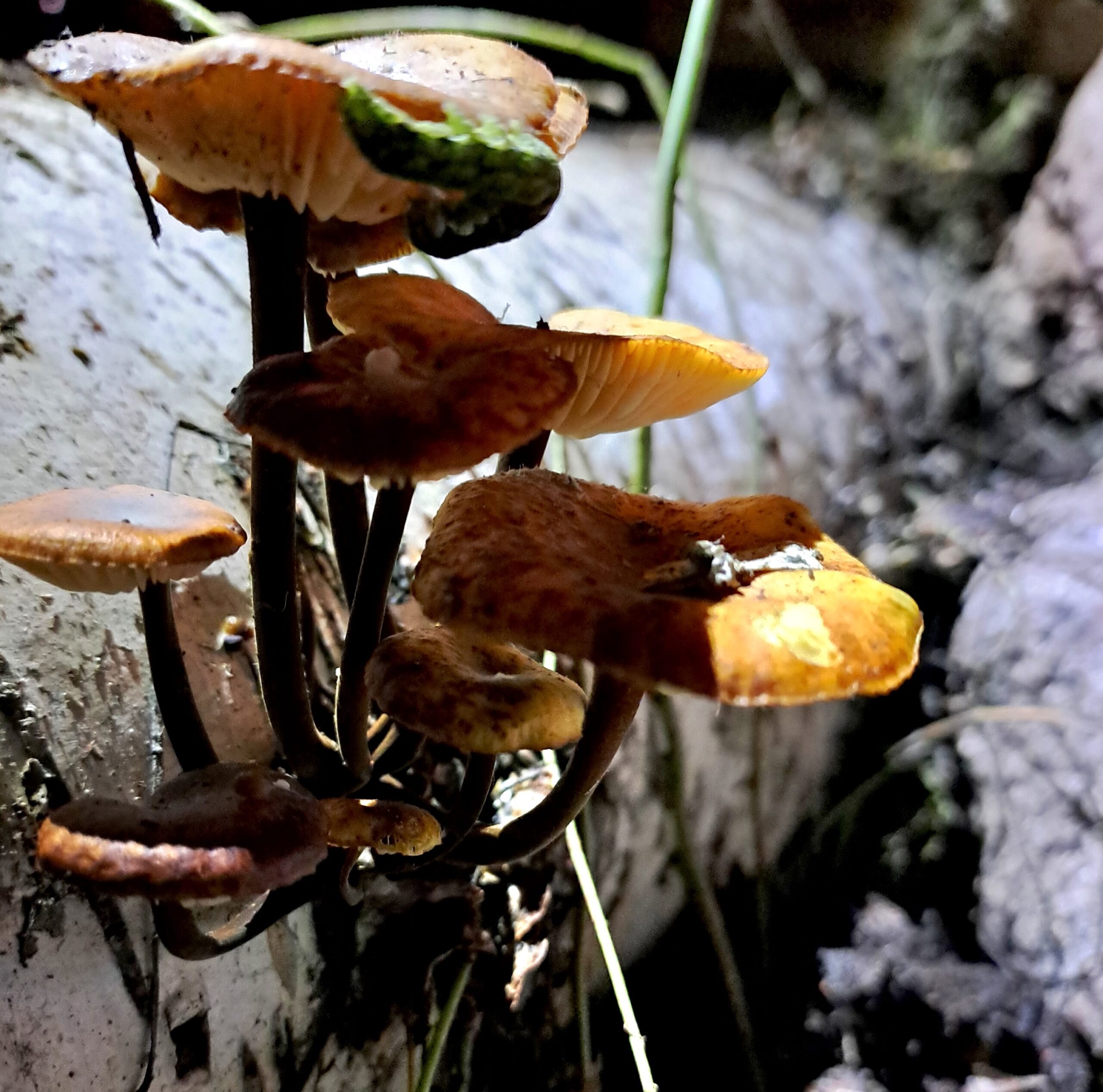 Instant reflections II by Nina Vurdelja