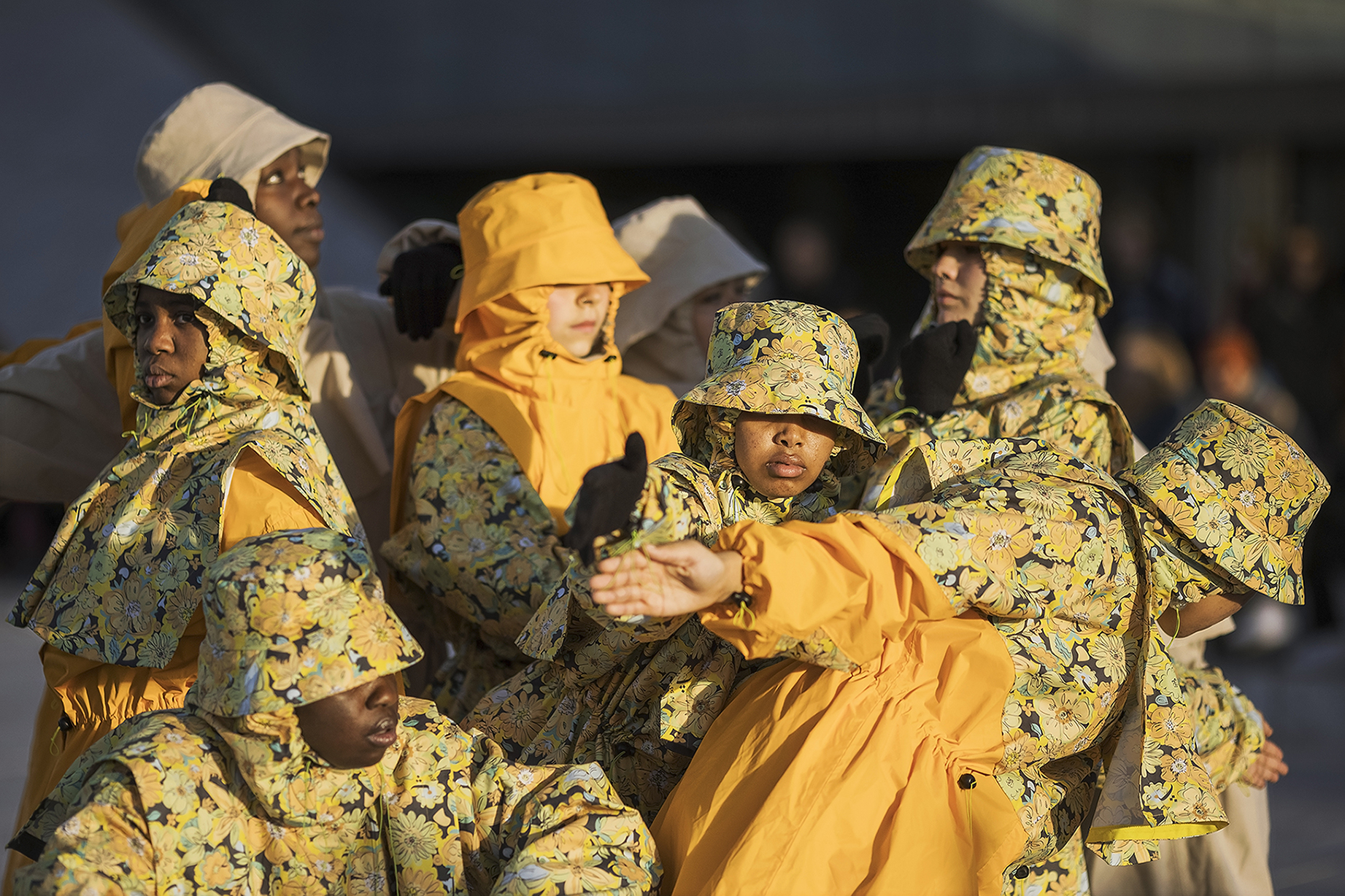 Traces from November – the ever changing form Moving in November