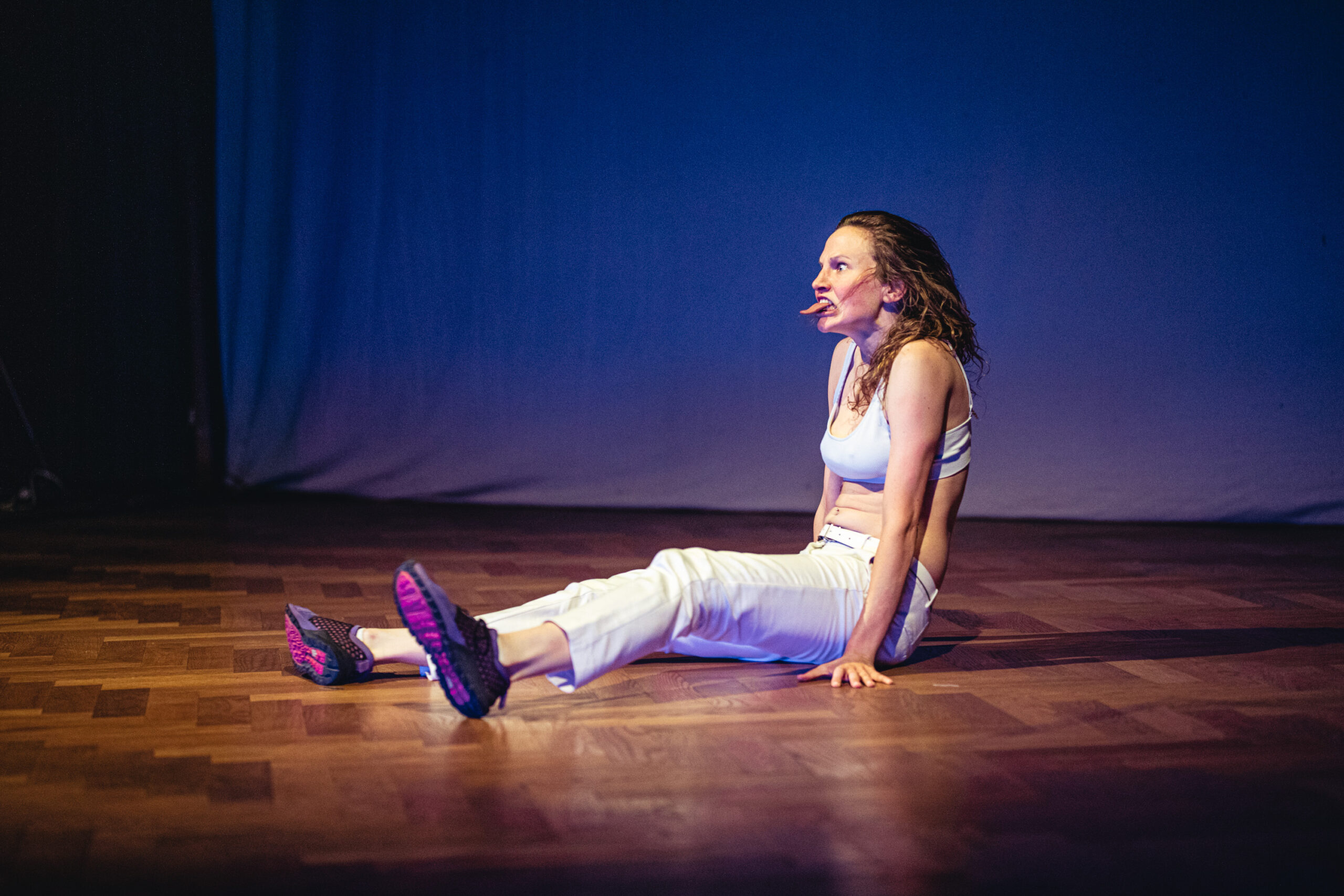 Conversation between Bryana Fritz and Kerstin Schroth about Submission Submission